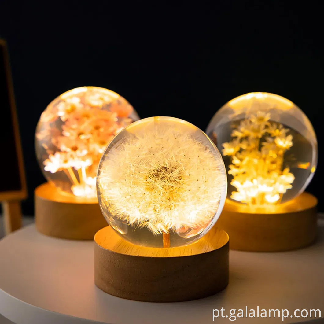 Luz noturna eterna da flor, o presente que nunca murcha